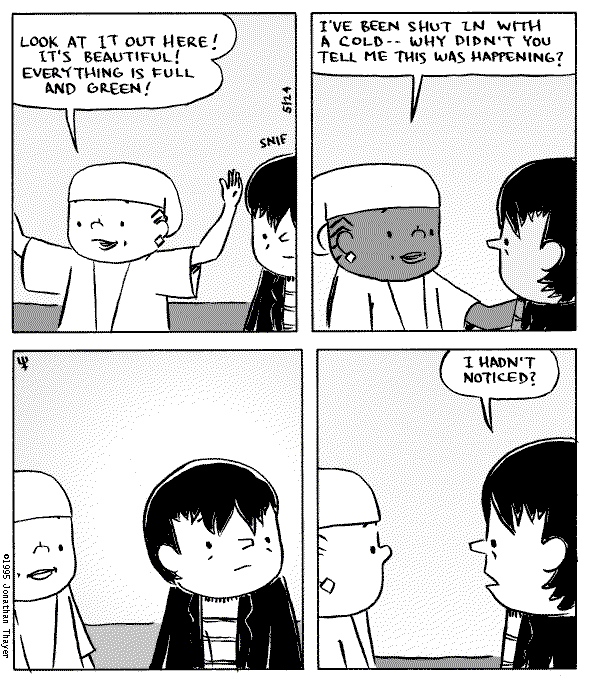 Wednesday's strip