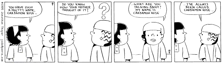 Wednesday's strip